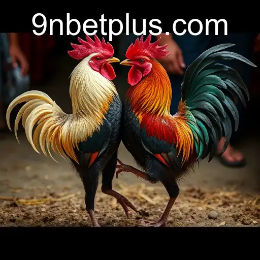 The Dynamic World of Jogos de Sabong: Tradition Meets 9Nbet Innovation